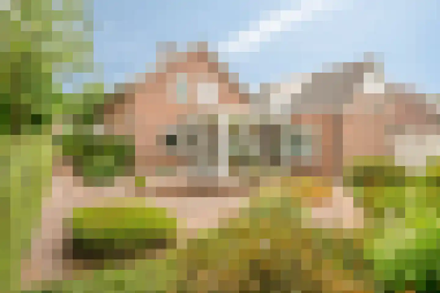 Komeetlaan 62 Sittard thumbnail 5