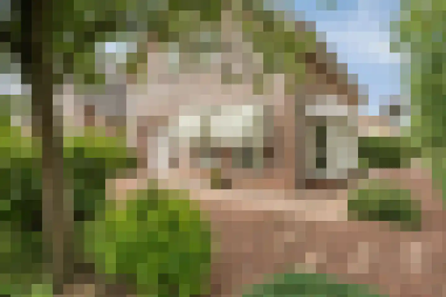 Komeetlaan 62 Sittard thumbnail 7