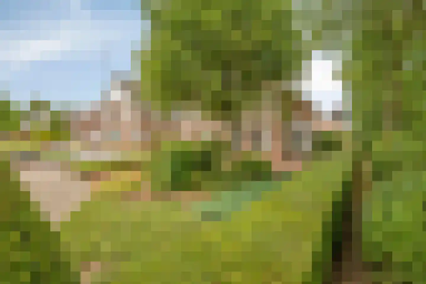Komeetlaan 62 Sittard thumbnail 9