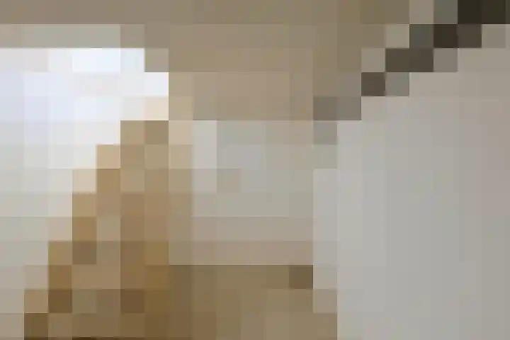 Komeetstraat 6 Geleen thumbnail 13