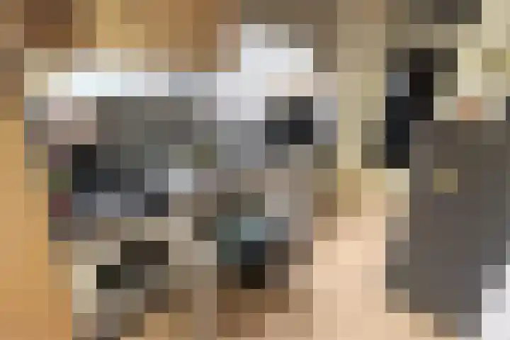Komelkerij 10 Leeuwarden thumbnail 15
