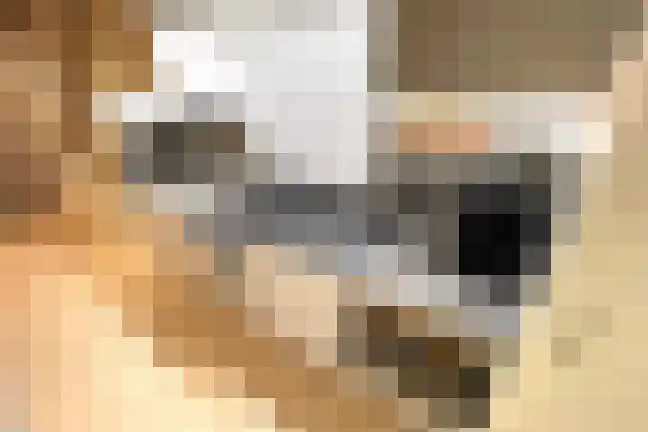 Komelkerij 10 Leeuwarden thumbnail 17