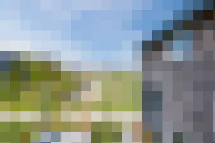 Komelkerij 10 Leeuwarden thumbnail 34