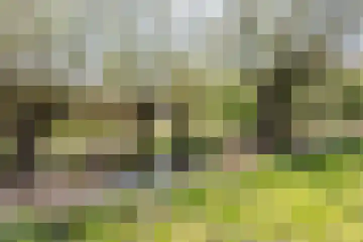 Komelkerij 10 Leeuwarden thumbnail 36