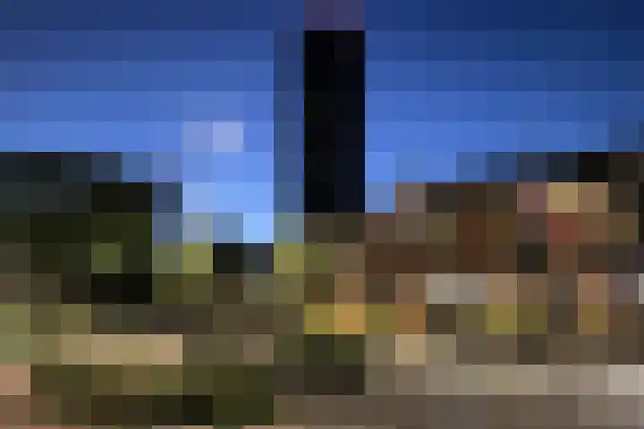 Komelkerij 10 Leeuwarden thumbnail 43