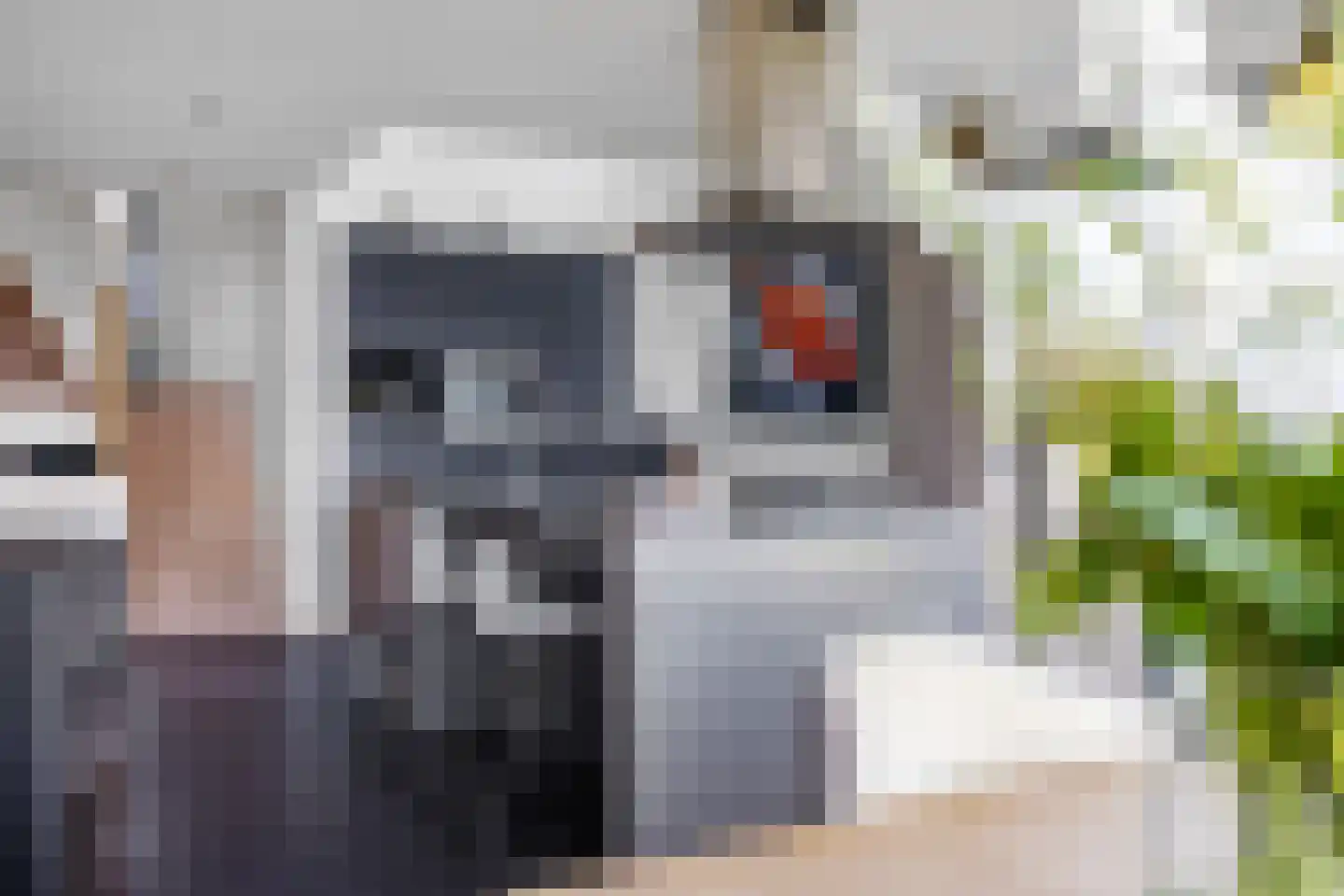 Komelkersstrjitte 7 Terherne thumbnail 19