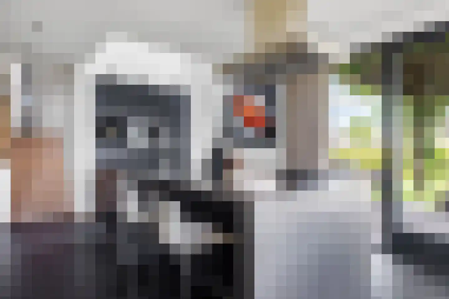 Komelkersstrjitte 7 Terherne thumbnail 20