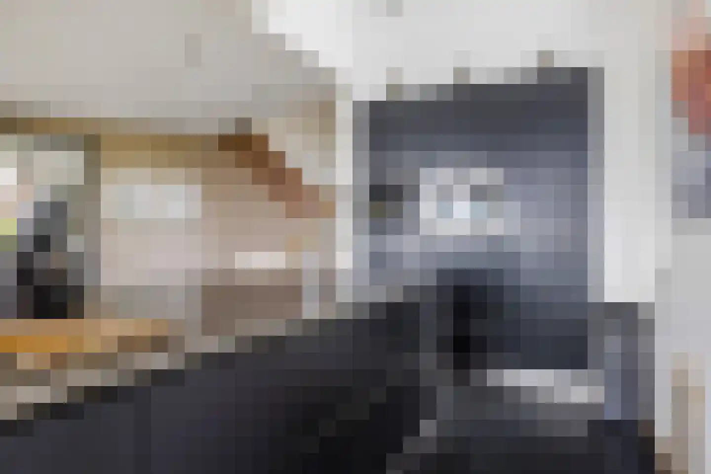 Komelkersstrjitte 7 Terherne thumbnail 21