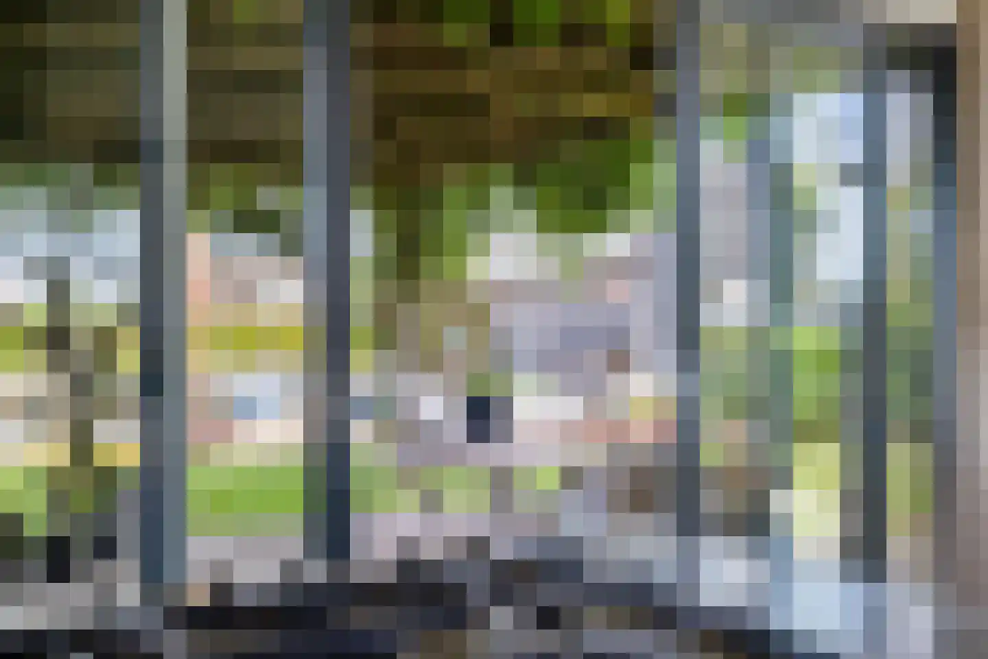 Komelkersstrjitte 7 Terherne thumbnail 22
