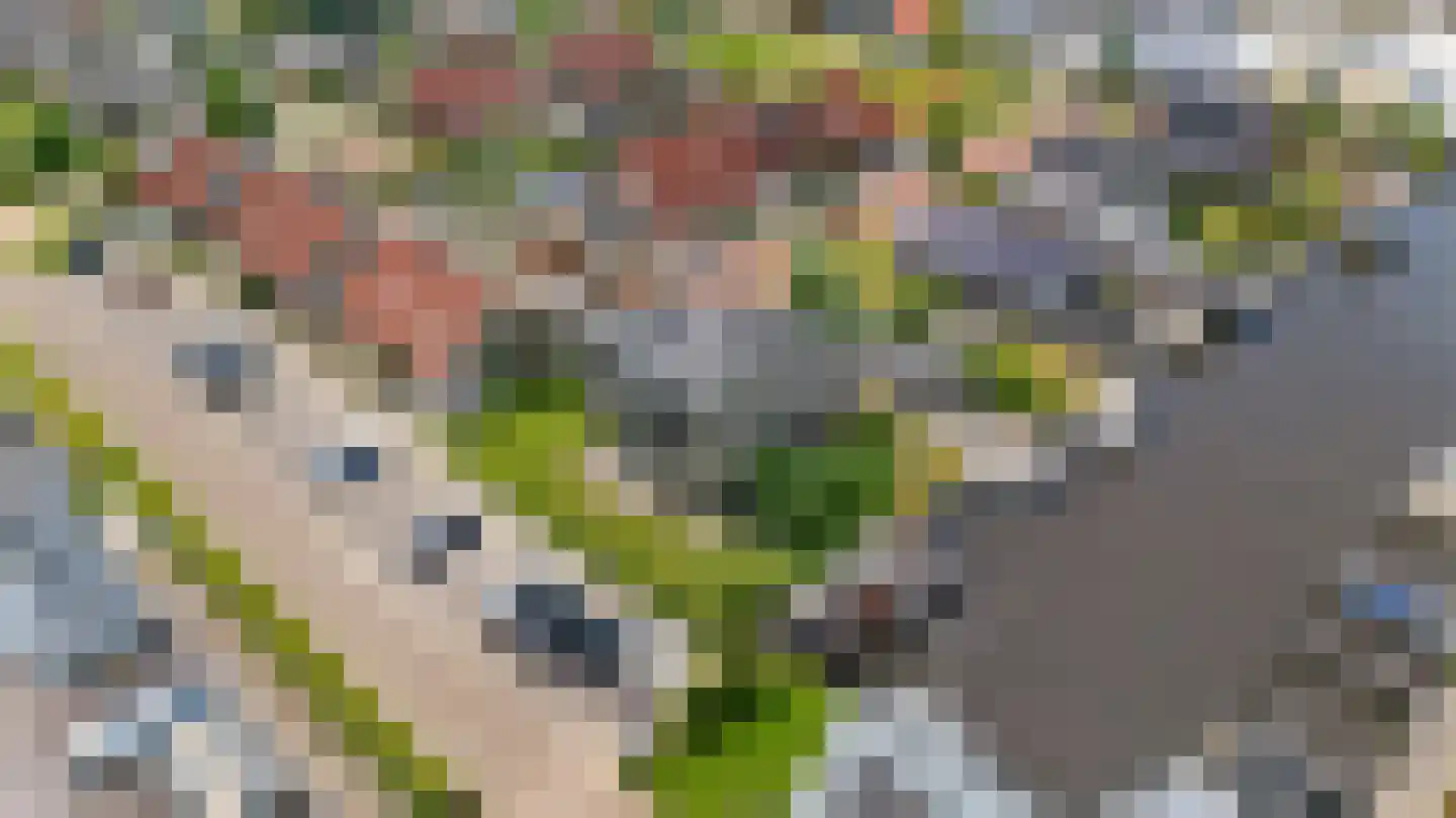 Komelkersstrjitte 7 Terherne thumbnail 72