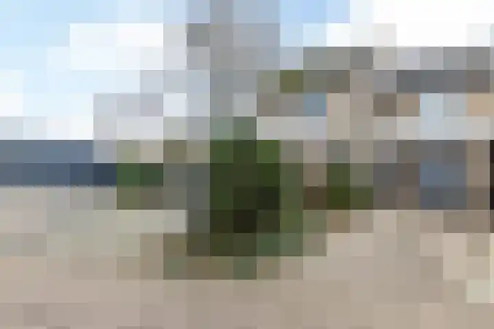 Komerd 9 Hoensbroek thumbnail 39
