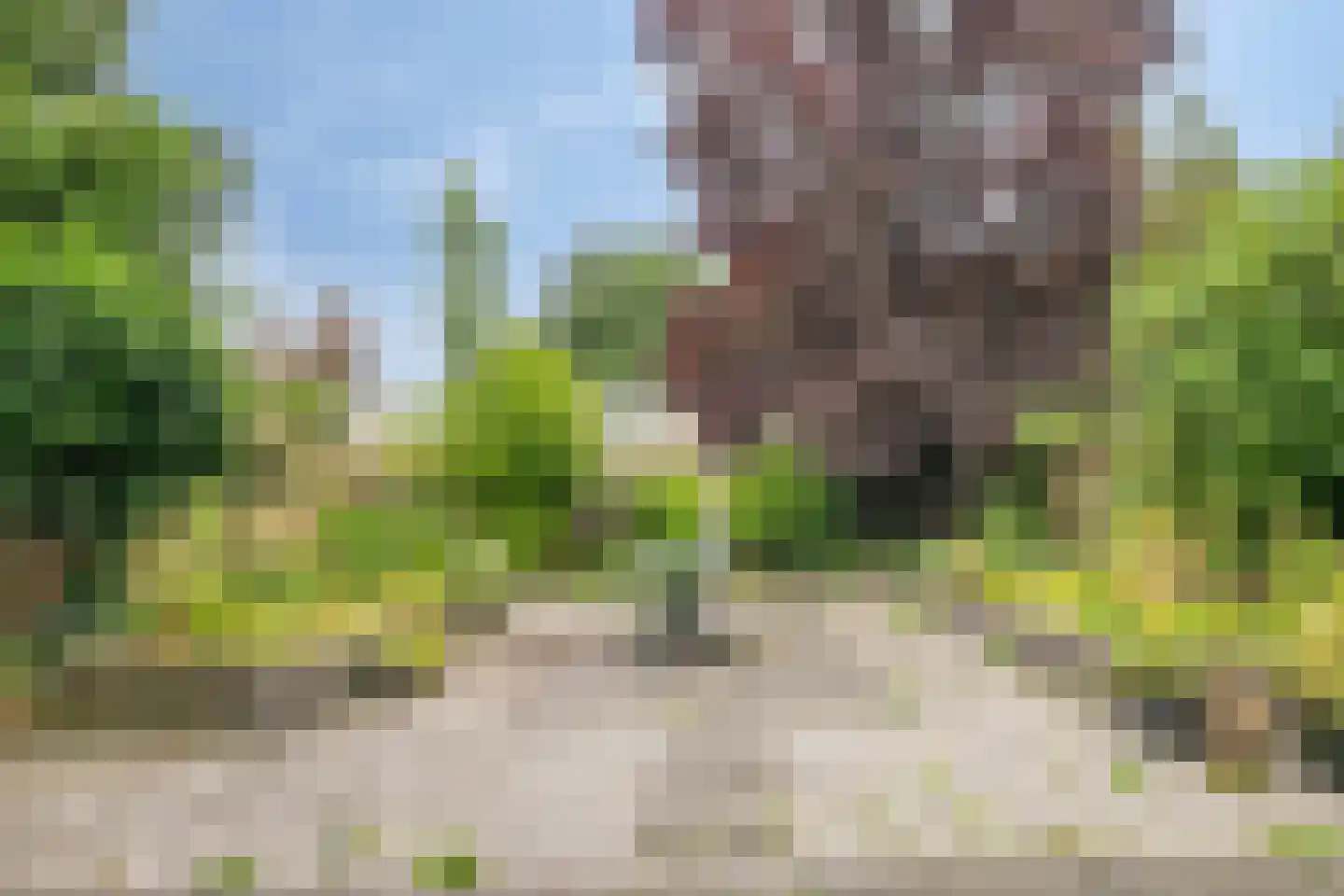Kometenhof 7 Emmeloord thumbnail 30