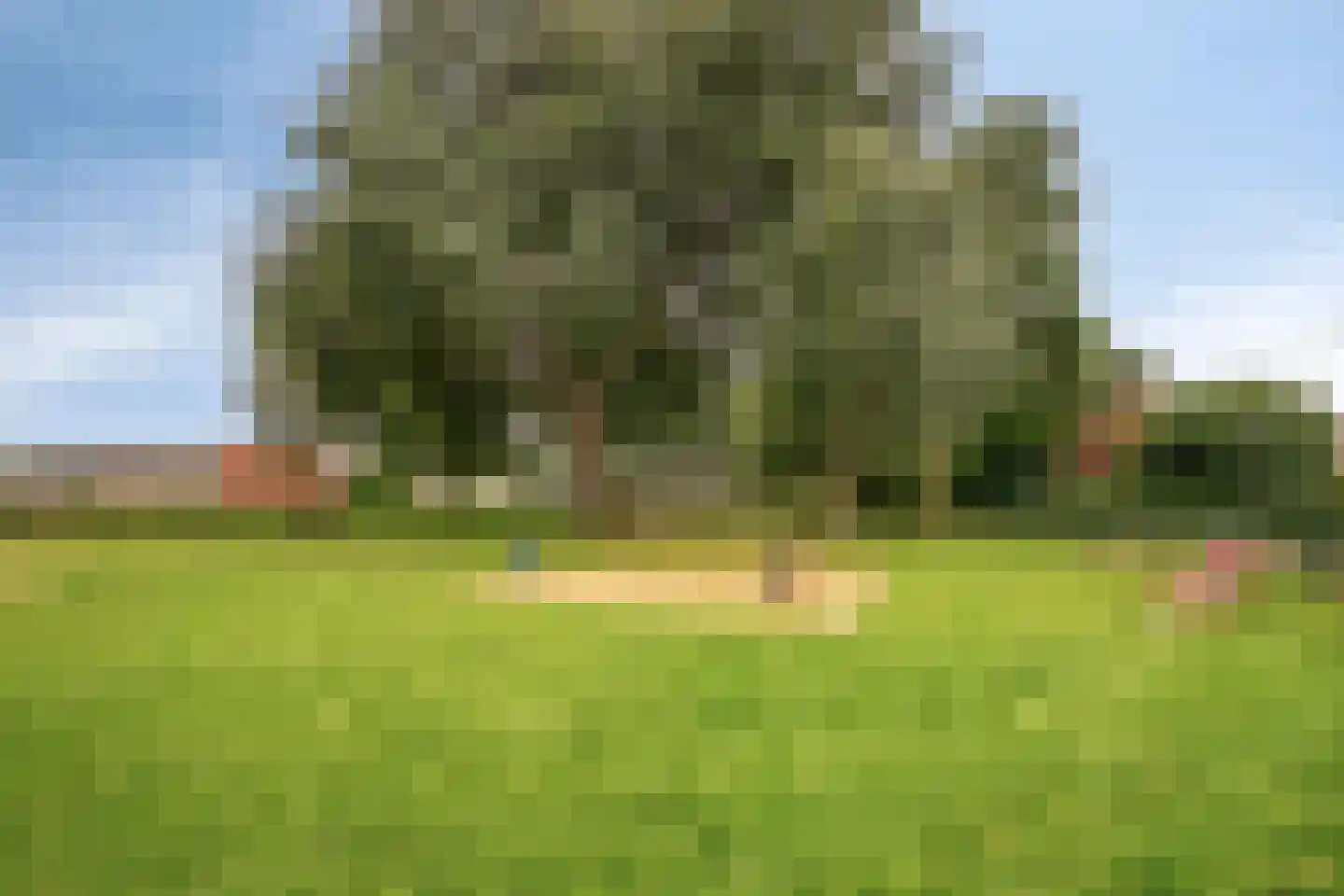 Kometenhof 7 Emmeloord thumbnail 38