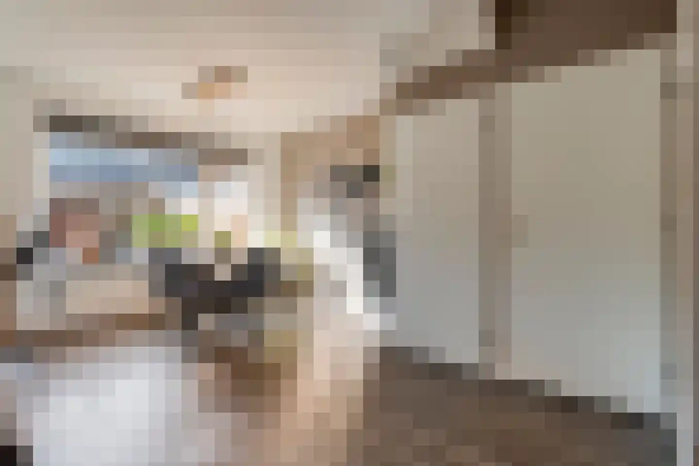 Kometenlaan 12 Hardenberg thumbnail 11