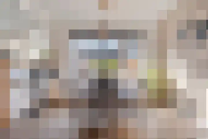 Kometenlaan 12 Hardenberg thumbnail 12