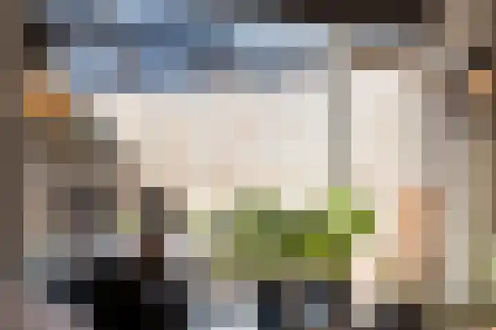 Kometenlaan 12 Hardenberg thumbnail 13