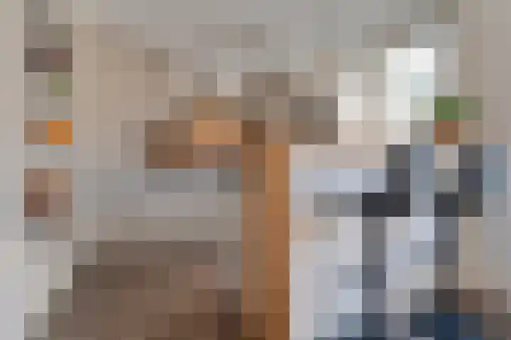 Kometenlaan 12 Hardenberg thumbnail 14