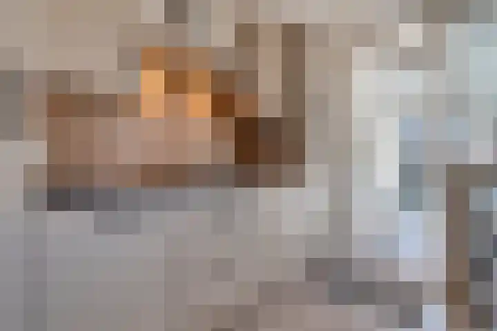 Kometenlaan 12 Hardenberg thumbnail 15
