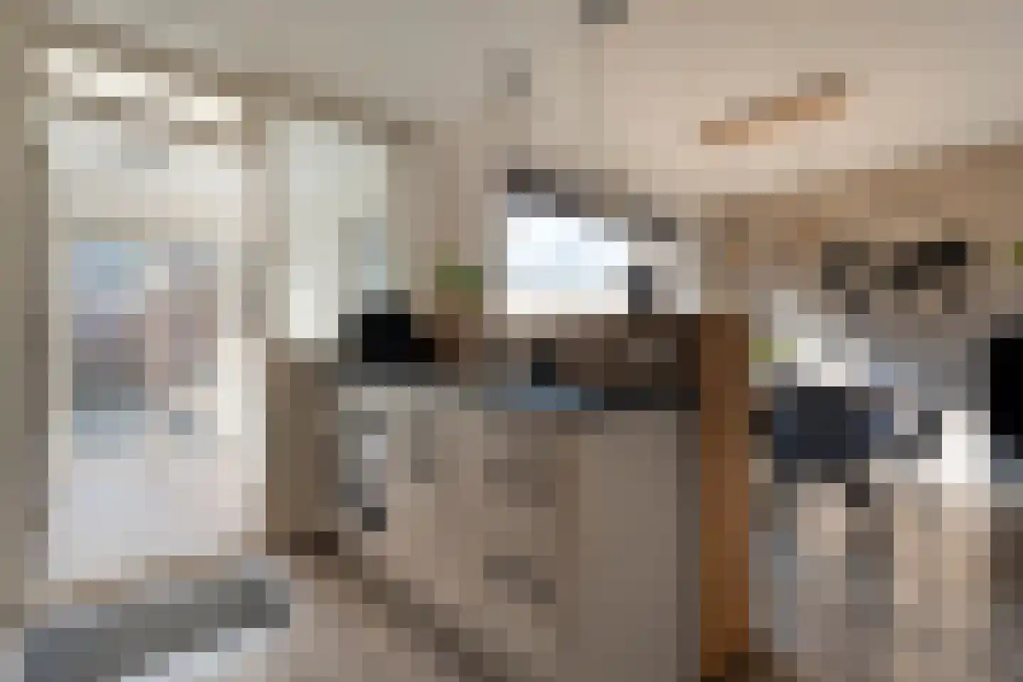 Kometenlaan 12 Hardenberg thumbnail 16