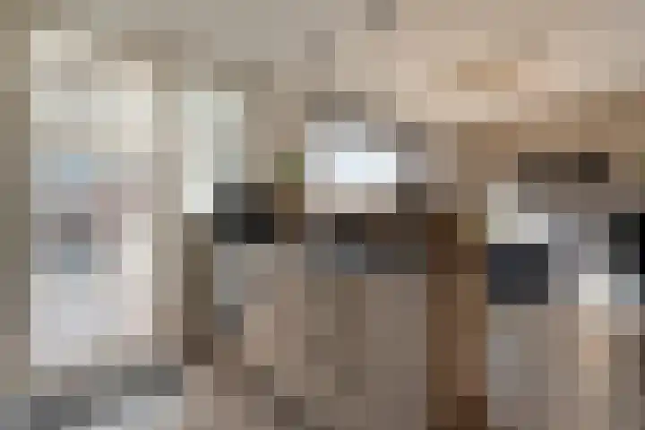 Kometenlaan 12 Hardenberg thumbnail 16