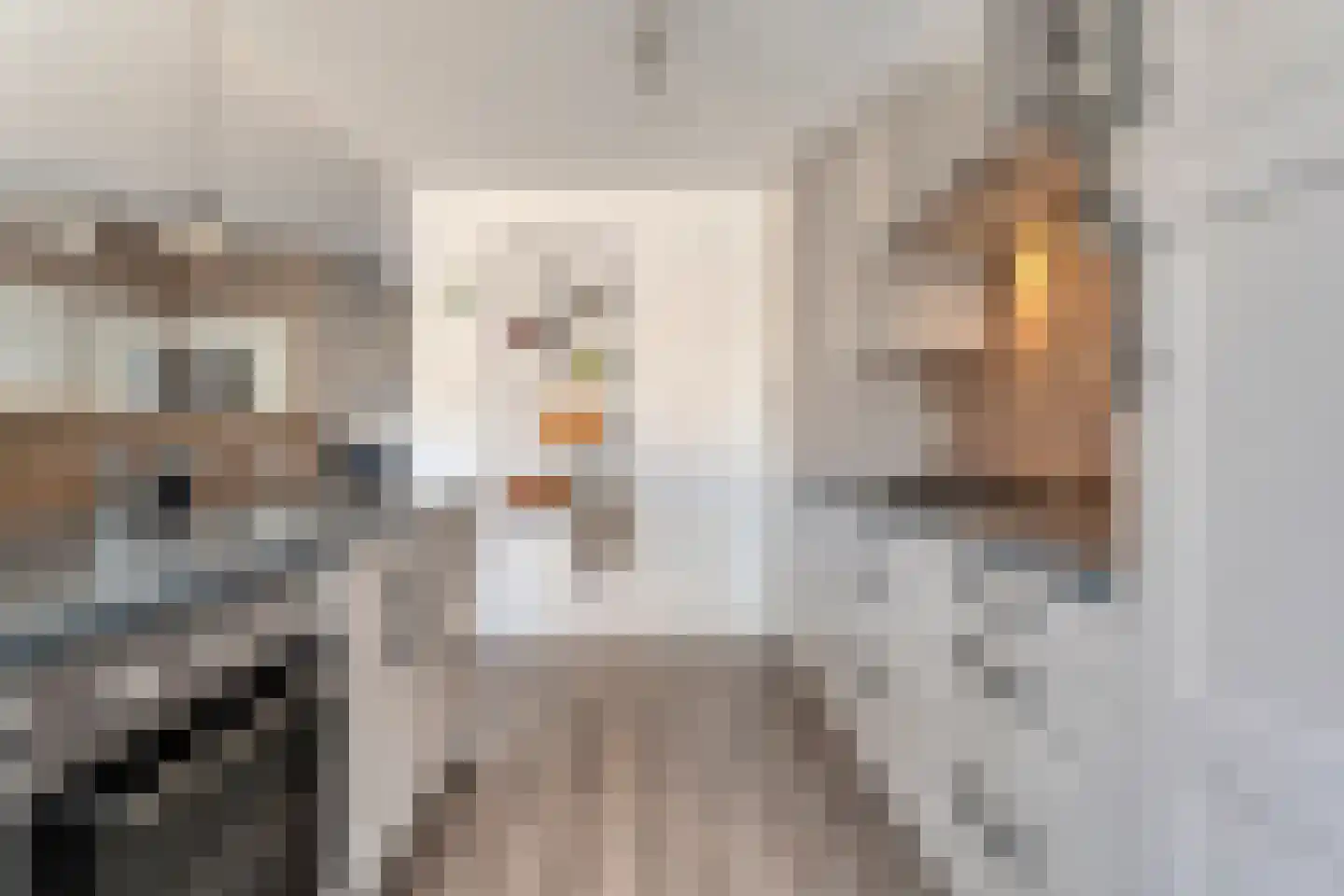 Kometenlaan 12 Hardenberg thumbnail 17