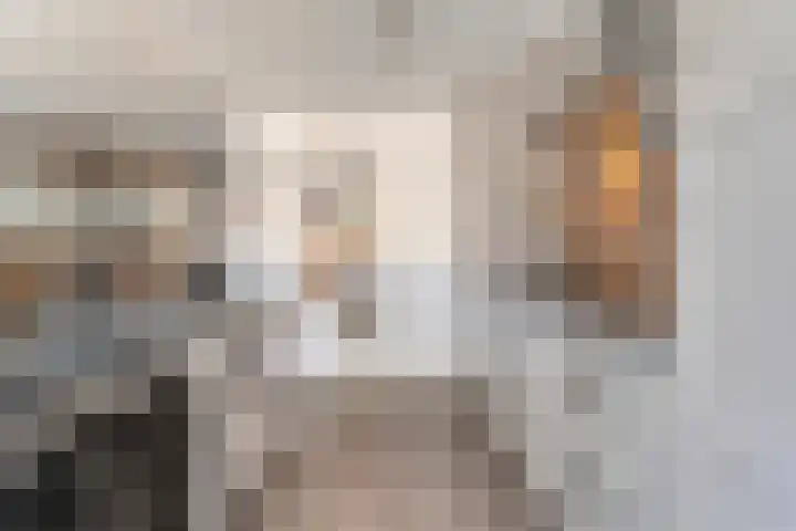 Kometenlaan 12 Hardenberg thumbnail 17
