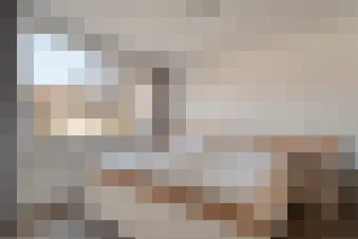 Kometenlaan 12 Hardenberg thumbnail 25