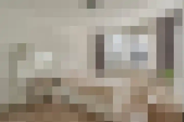 Kometenlaan 12 Hardenberg thumbnail 29