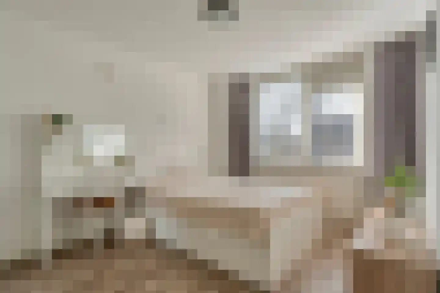 Kometenlaan 12 Hardenberg thumbnail 29