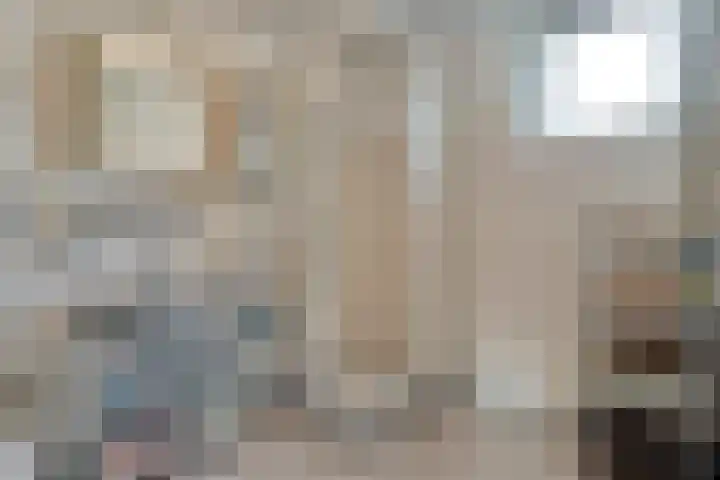 Kometenlaan 12 Hardenberg thumbnail 31
