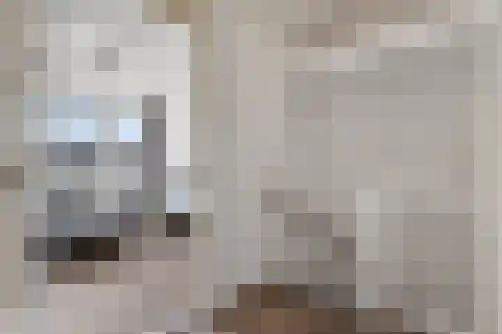 Kometenlaan 12 Hardenberg thumbnail 35