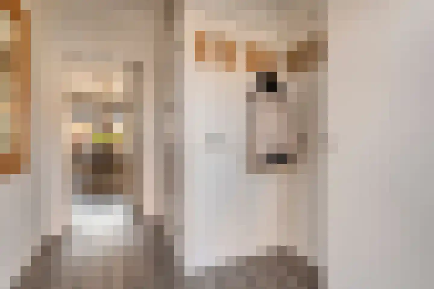 Kometenlaan 12 Hardenberg thumbnail 4