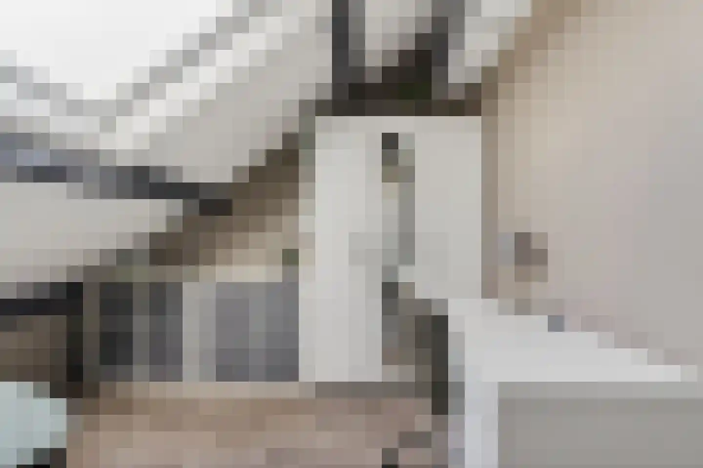 Kometenlaan 12 Hardenberg thumbnail 41