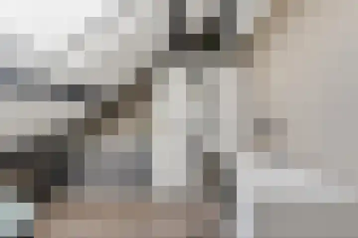 Kometenlaan 12 Hardenberg thumbnail 41