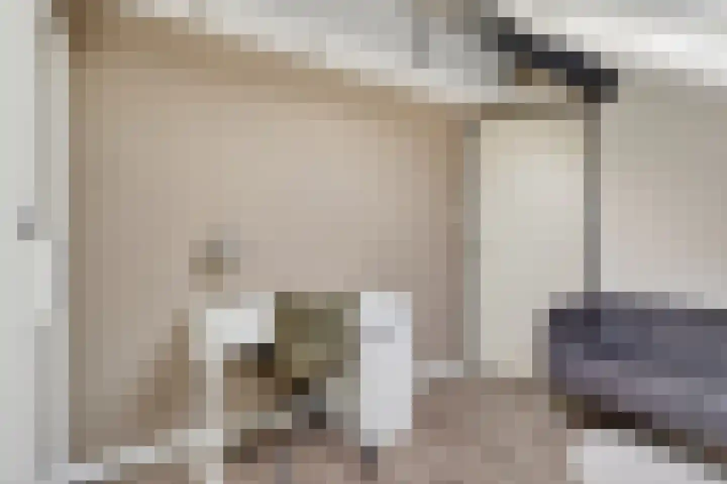 Kometenlaan 12 Hardenberg thumbnail 42