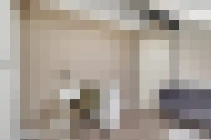 Kometenlaan 12 Hardenberg thumbnail 42
