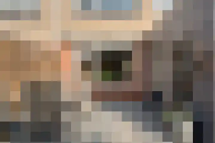 Kometenlaan 12 Hardenberg thumbnail 43