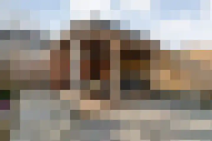 Kometenlaan 12 Hardenberg thumbnail 48