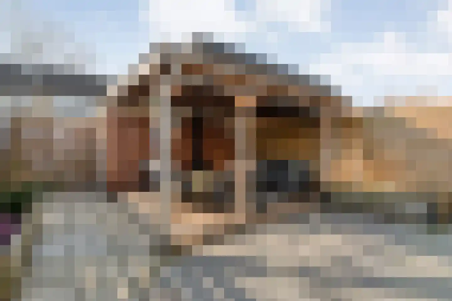 Kometenlaan 12 Hardenberg thumbnail 48