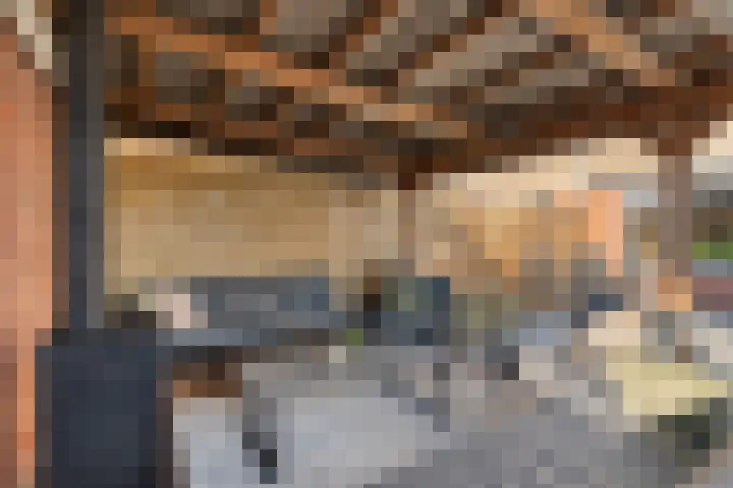 Kometenlaan 12 Hardenberg thumbnail 50