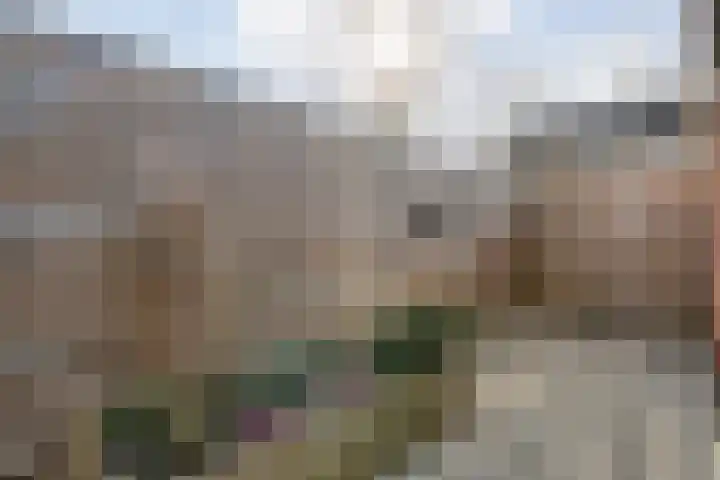 Kometenlaan 12 Hardenberg thumbnail 52