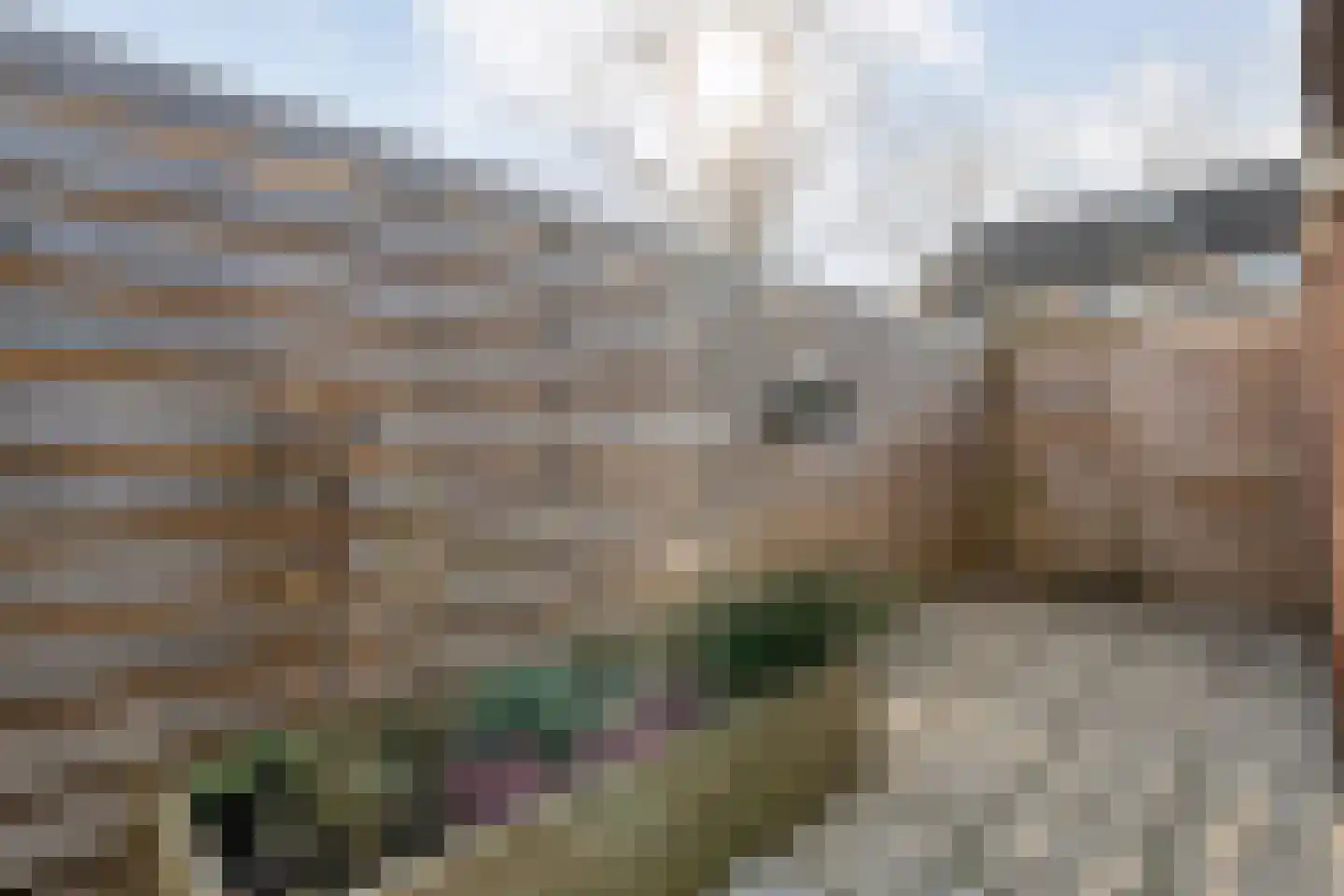 Kometenlaan 12 Hardenberg thumbnail 52