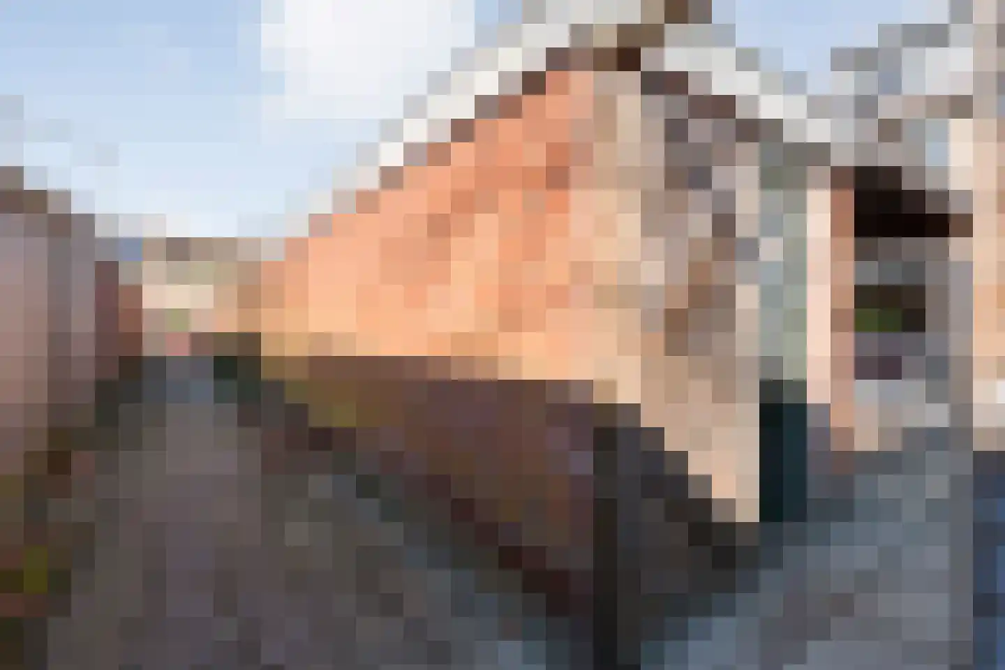 Kometenlaan 12 Hardenberg thumbnail 53