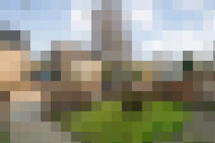 Kometenlaan 12 Hardenberg thumbnail 55