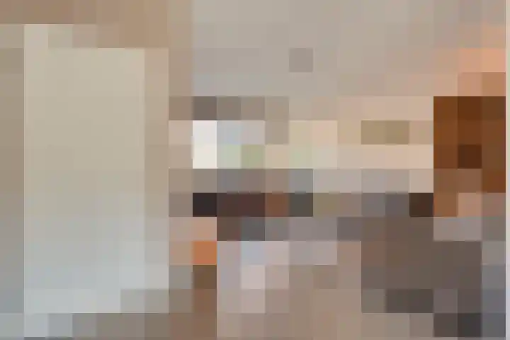 Kometenlaan 12 Hardenberg thumbnail 6
