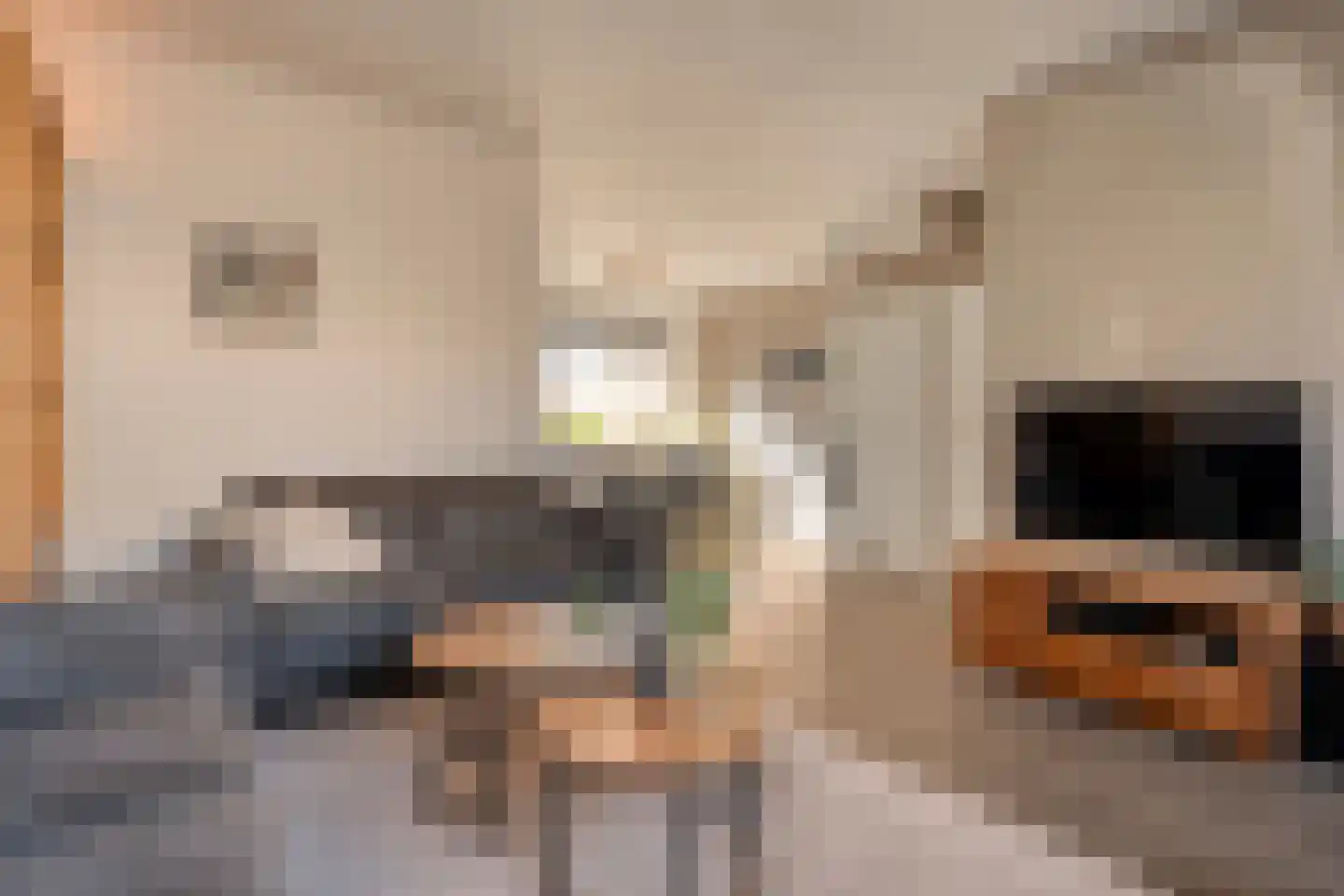 Kometenlaan 12 Hardenberg thumbnail 8