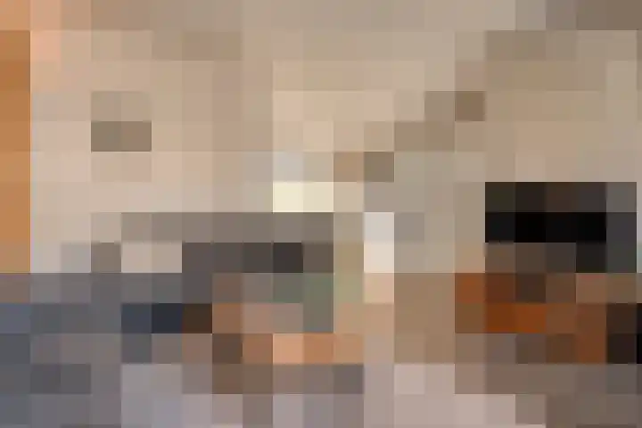 Kometenlaan 12 Hardenberg thumbnail 8