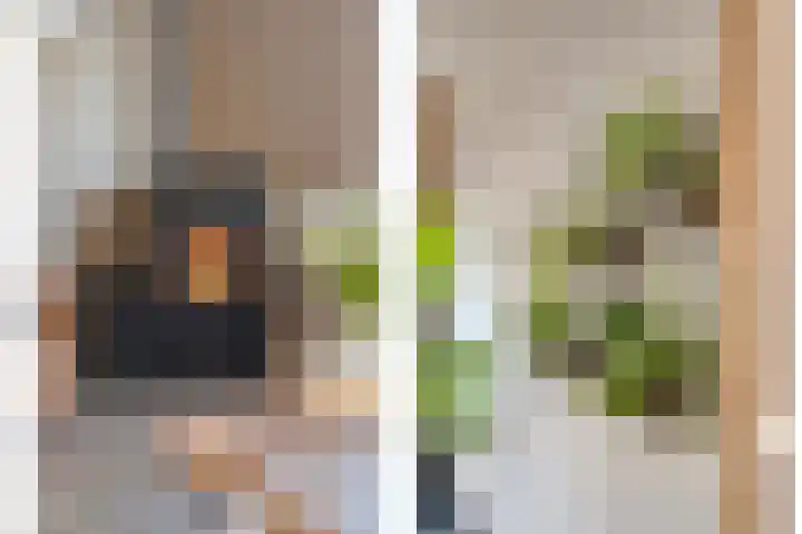Kometenlaan 12 Hardenberg thumbnail 9