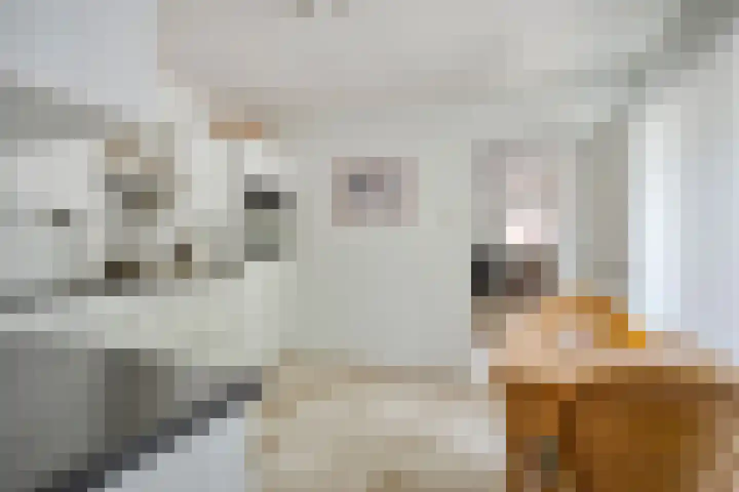 Kometenlaan 13 Bergen op Zoom thumbnail 11