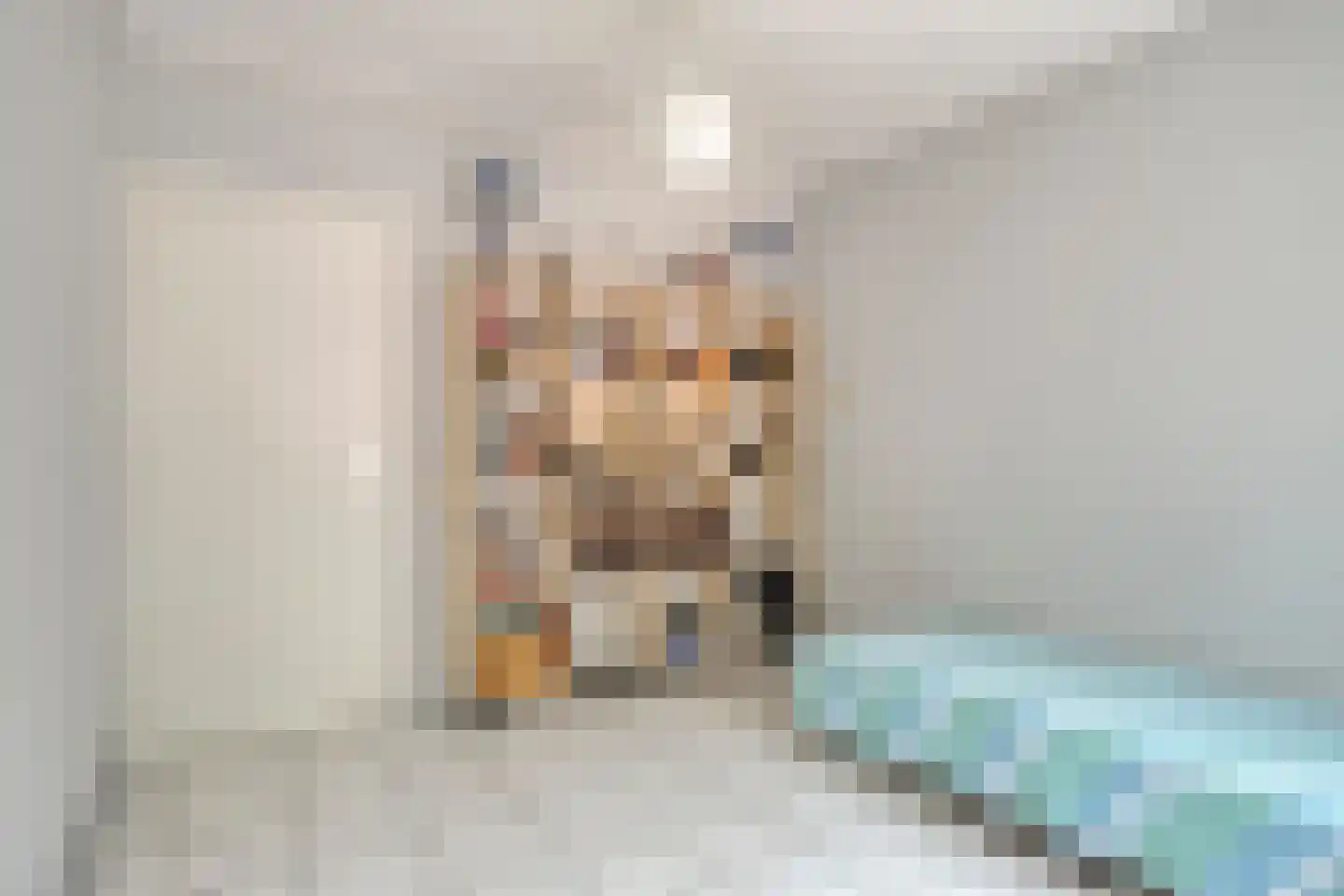 Kometenlaan 13 Bergen op Zoom thumbnail 17